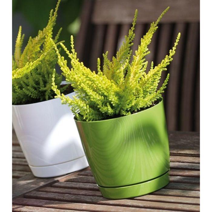Vaso Coubi Round P