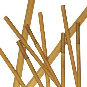 Canas de Bambu – Packs