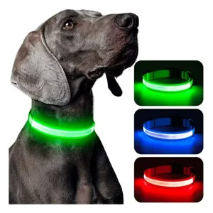 Coleira Luminosa LED Recarregável USB - Ajustável, Segura, Cães/Gatos, Visibilidade Noturna