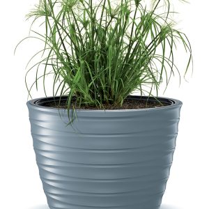 Vaso Freze DBFEE