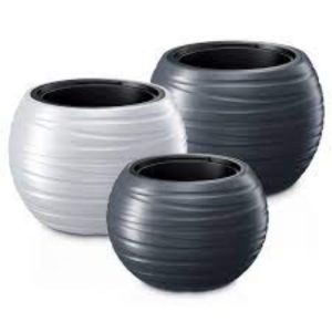 Vaso Maze DBMZK