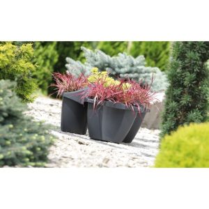 Vaso Crown 480