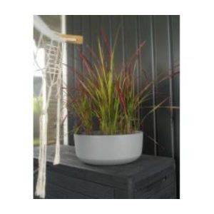Vaso Gracia Standard Low