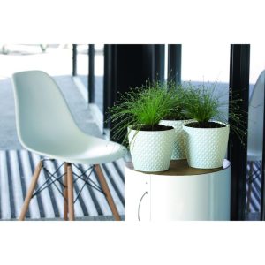 Vaso Orient
