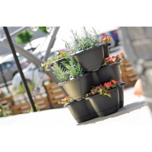 Vaso Respana Trio