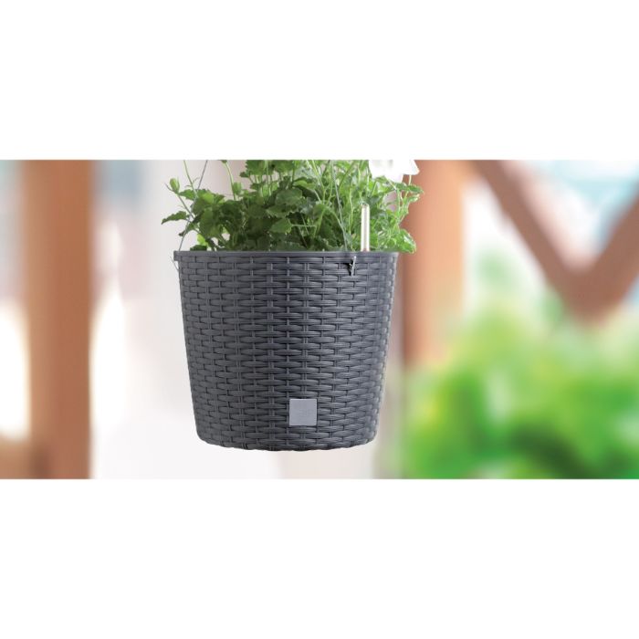 Vaso Rato Round W