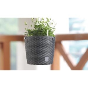 Vaso Rato Round WS