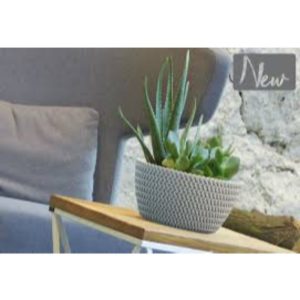 Vaso Splofy Low