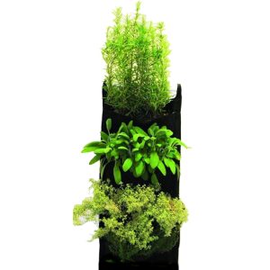Jardim Vertical 84×46