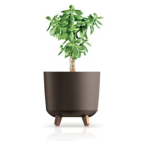 Vaso Gracia Tubus Eco Wood