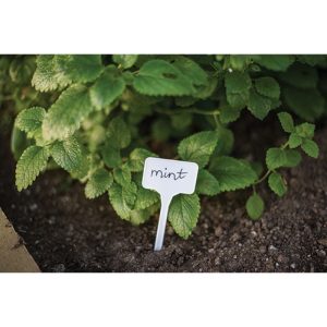 Etiquetas de Plantas 15×5,5 cm – 10 Unidades