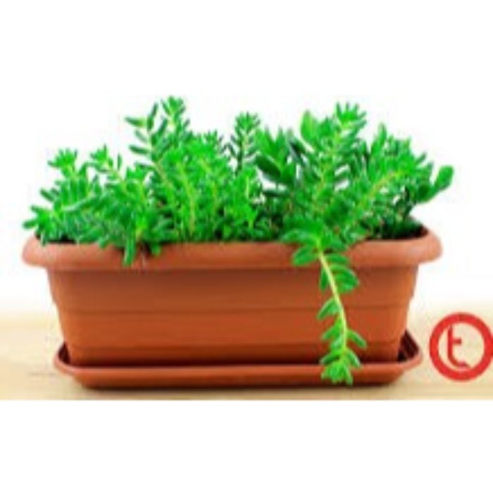 Floreira para Jardim - Image 3