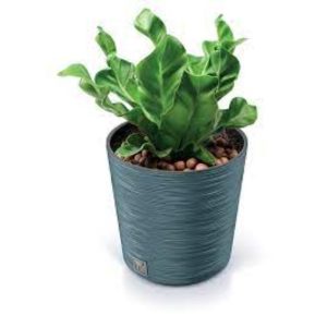 Vaso Furu Round